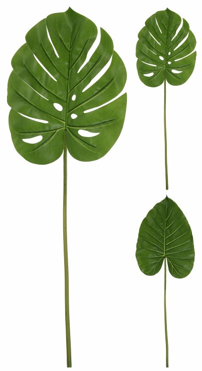 Ανάμικτα φύλλα Μονστέρα Φιλόδενδρου mini