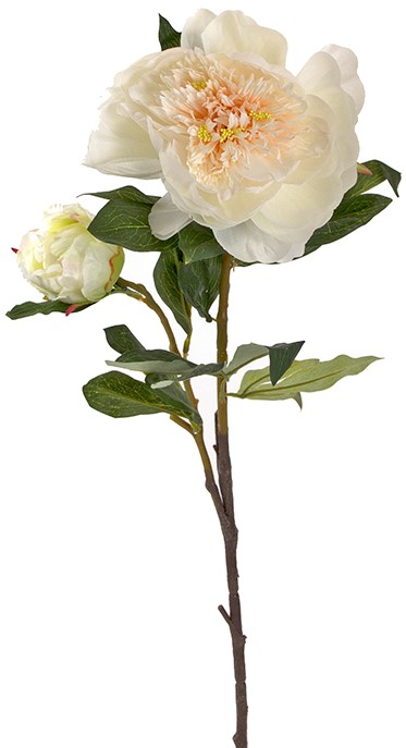 Διακοσμητικό λουλούδι Peony