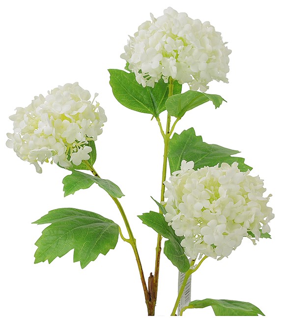 Λουλούδι Snowball x3 άνθη