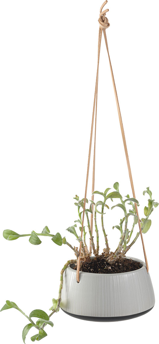 product-info-overview-image