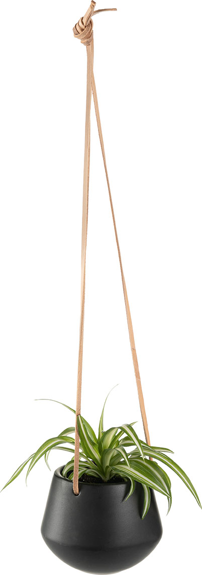 product-info-overview-image