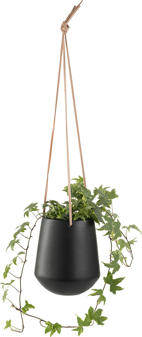 product-info-overview-image