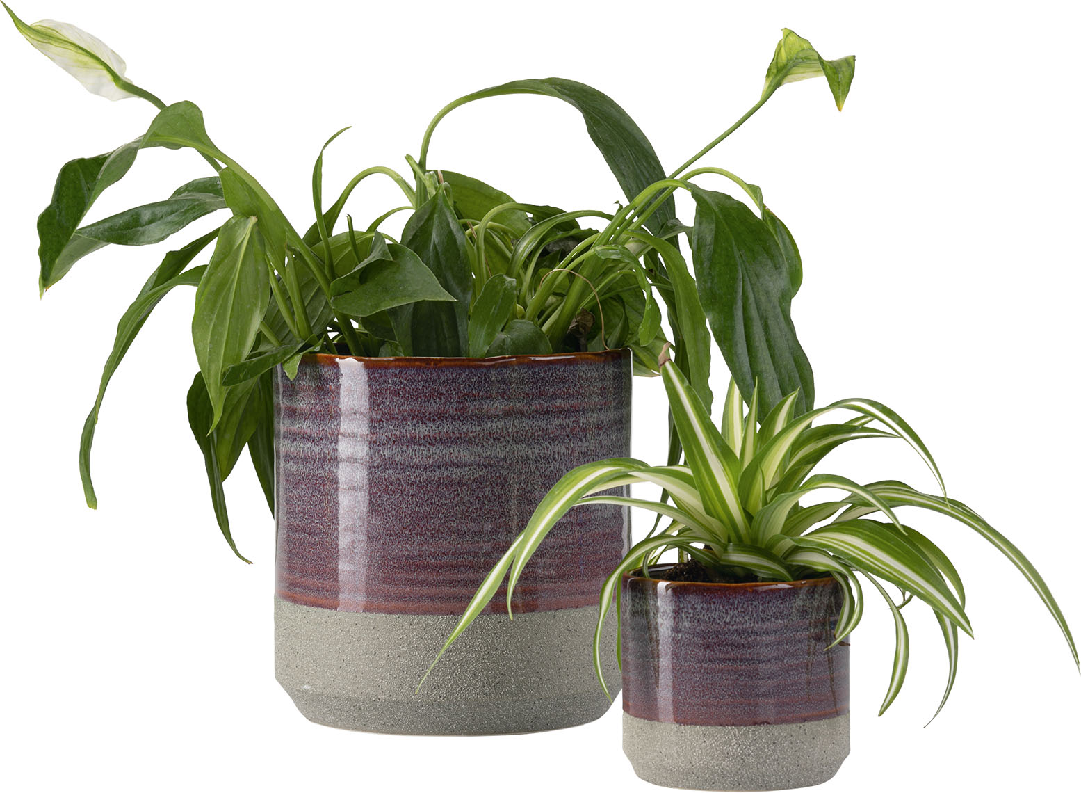 product-info-overview-image