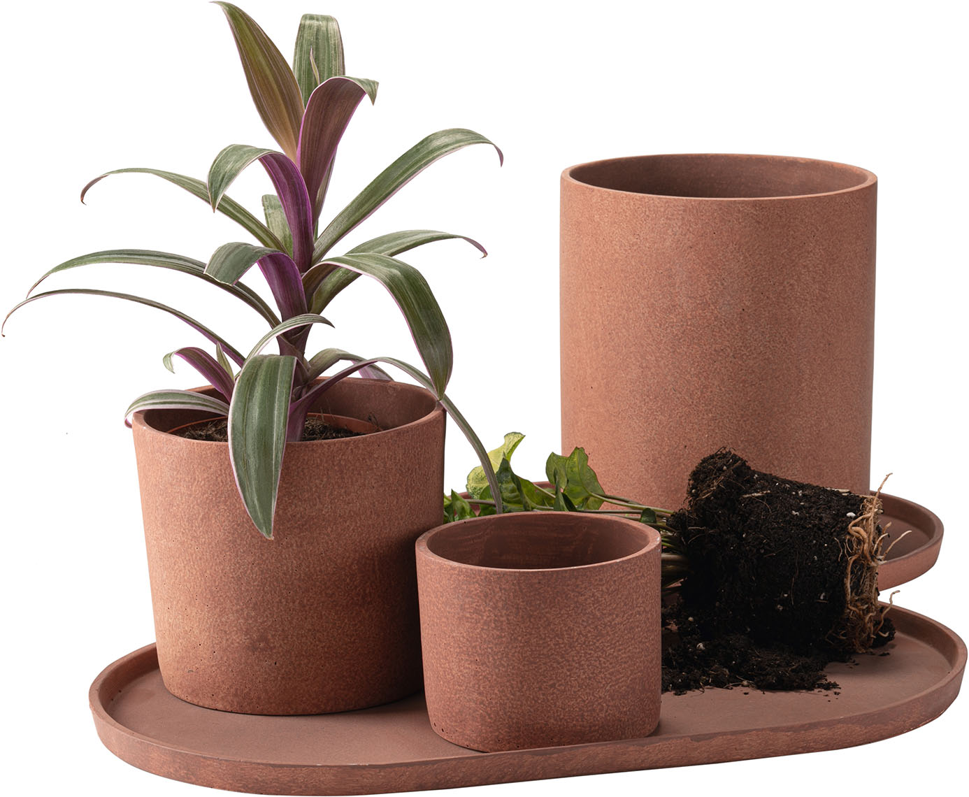 product-info-overview-image