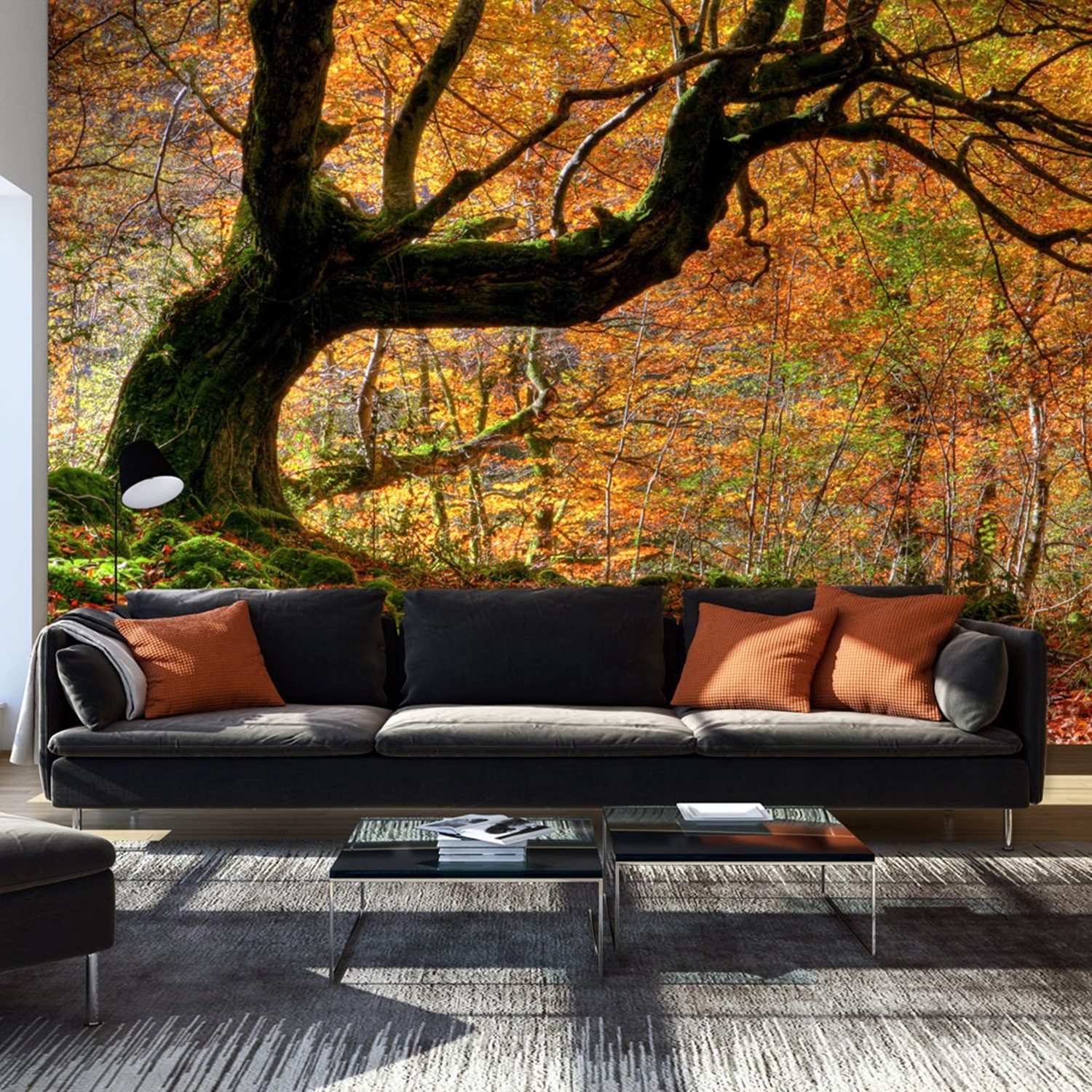 Φωτοταπετσαρία – Autumn, forest and leaves 450×270