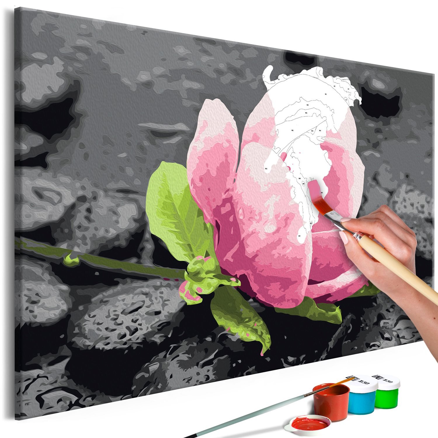 Πίνακας για να τον ζωγραφίζεις – Pink Flower and Stones 60×40