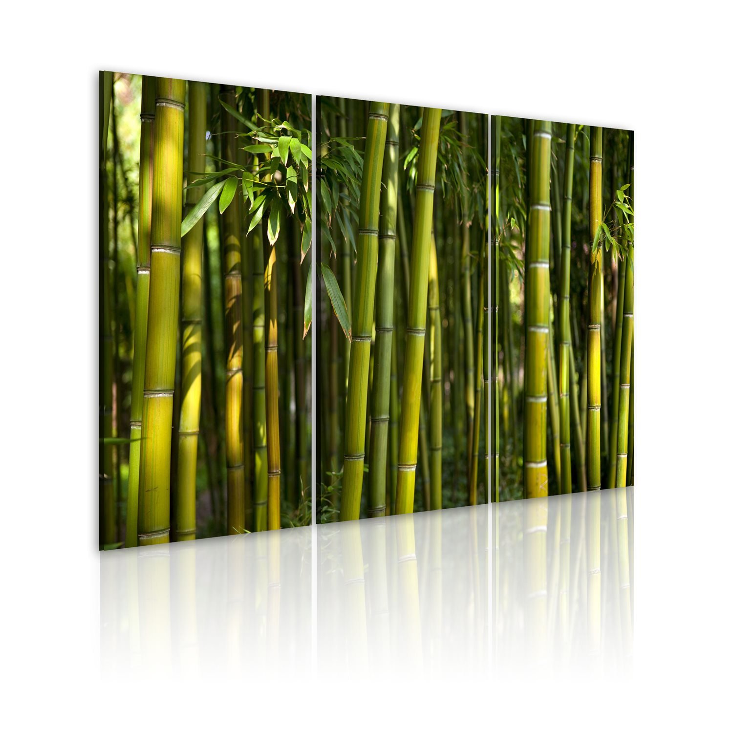 PoliHome Πίνακας - Green bamboo 60x40