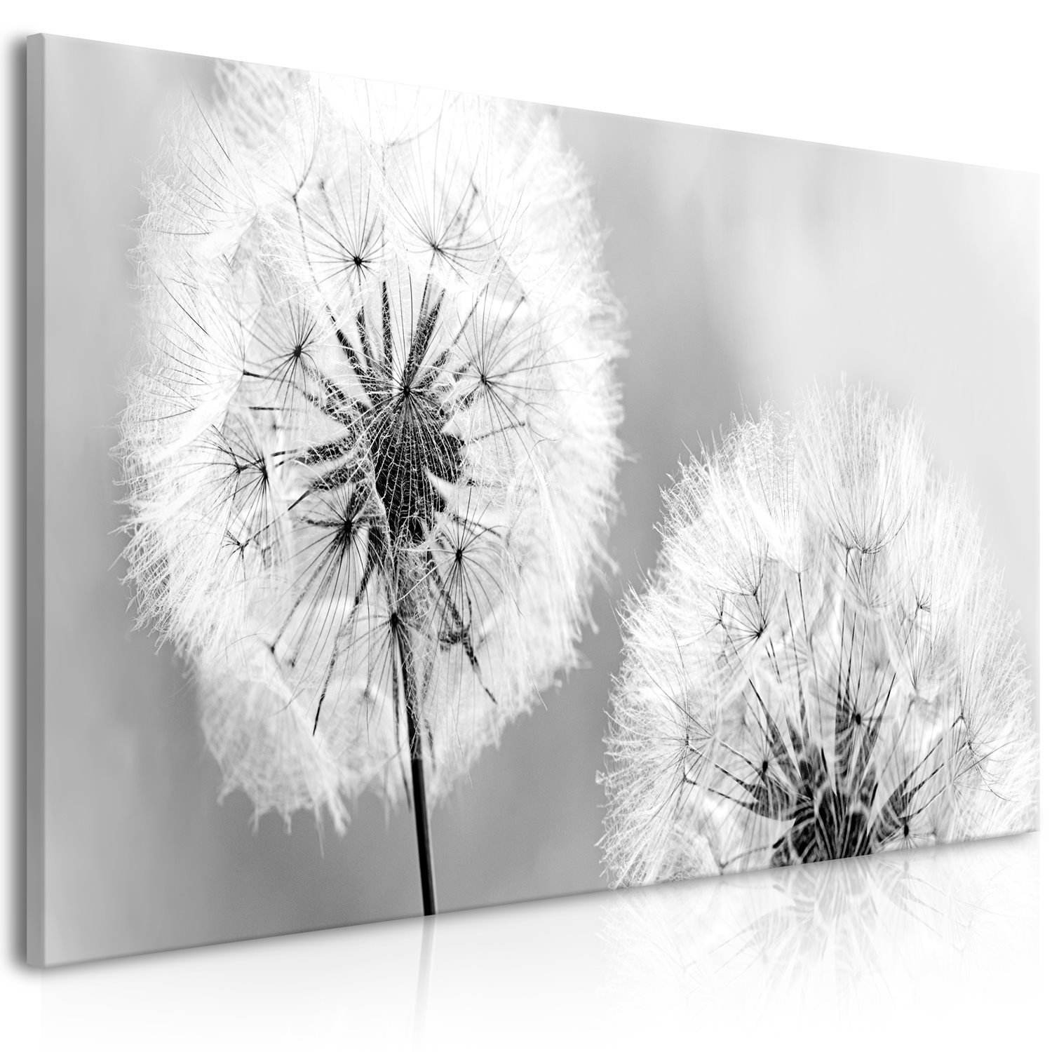 Πίνακας – Fluffy Dandelions (1 Part) Grey Wide 100×45