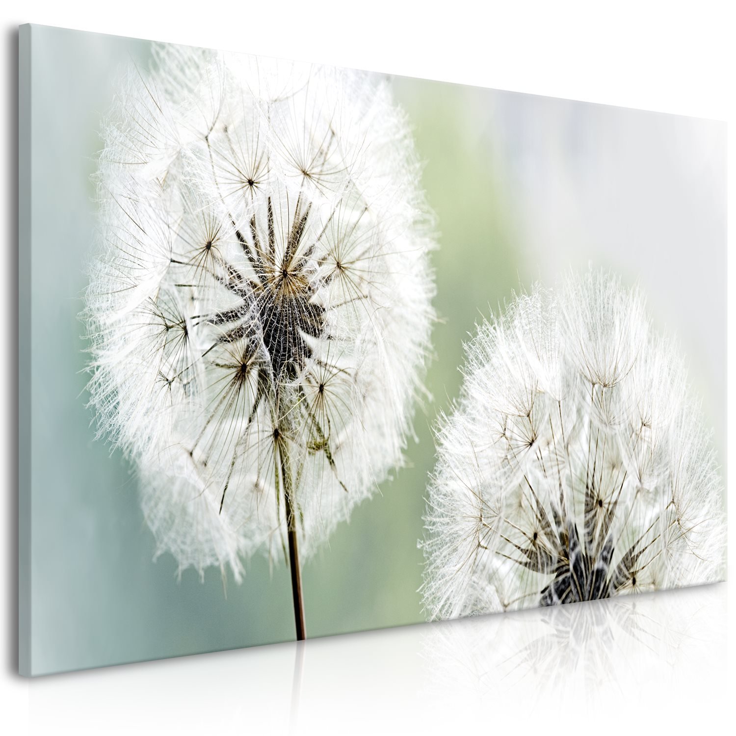 Πίνακας – Fluffy Dandelions (1 Part) Green Wide 100×45