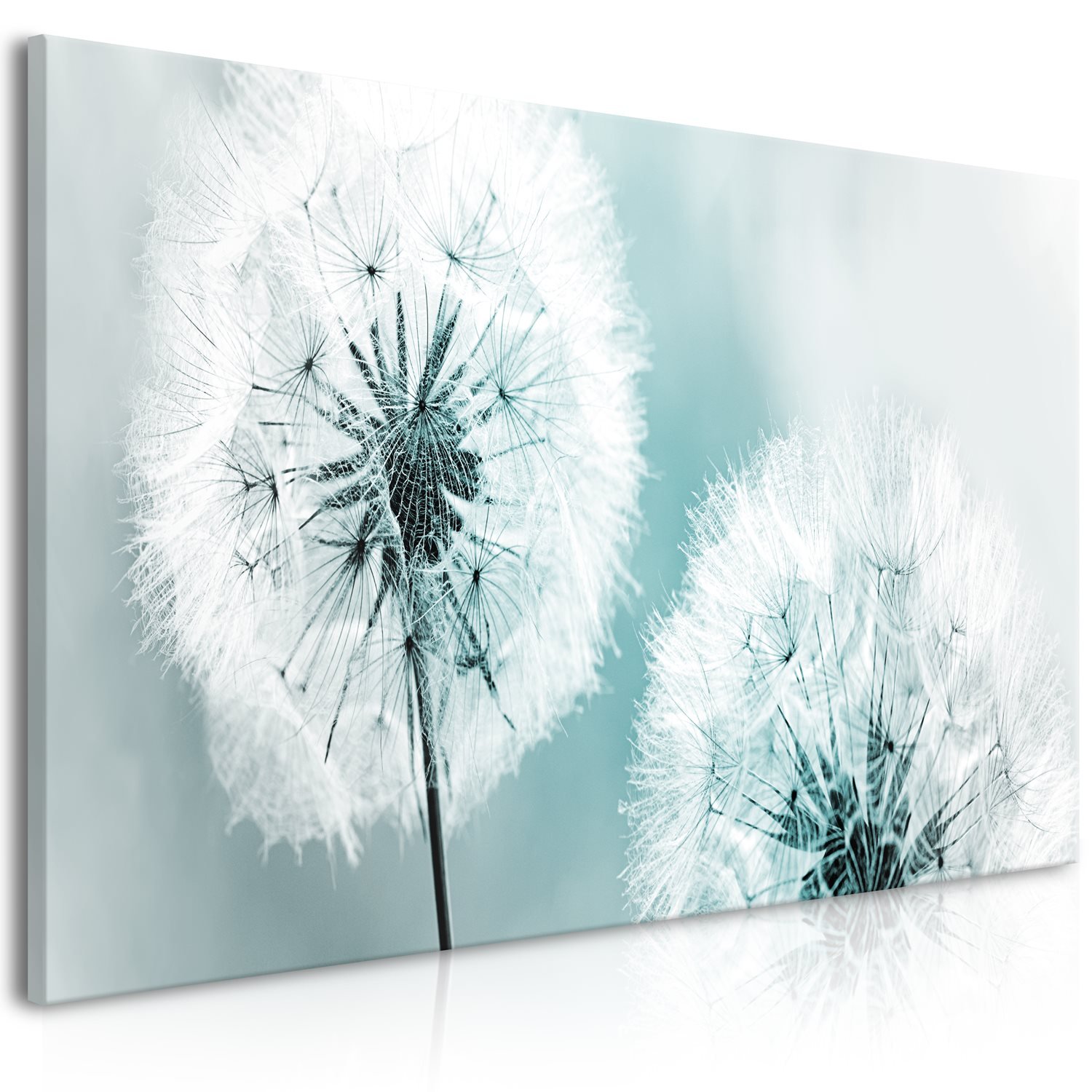 Πίνακας – Fluffy Dandelions (1 Part) Blue Wide 100×45