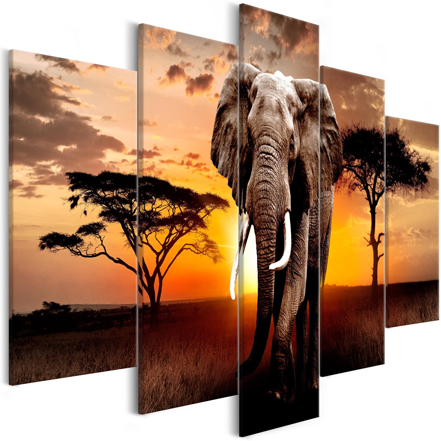 Πίνακας – Wandering Elephant (5 Parts) Wide 225×100