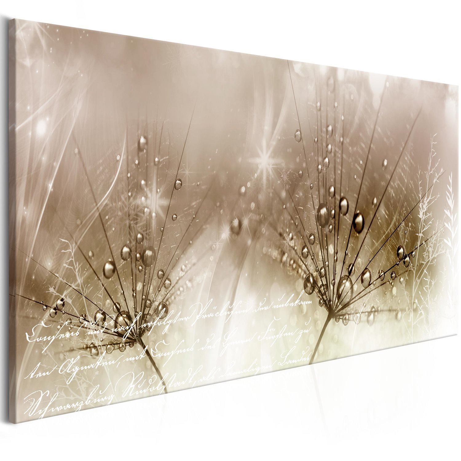 Πίνακας – Drops of Dew (1 Part) Brown Wide 100×45