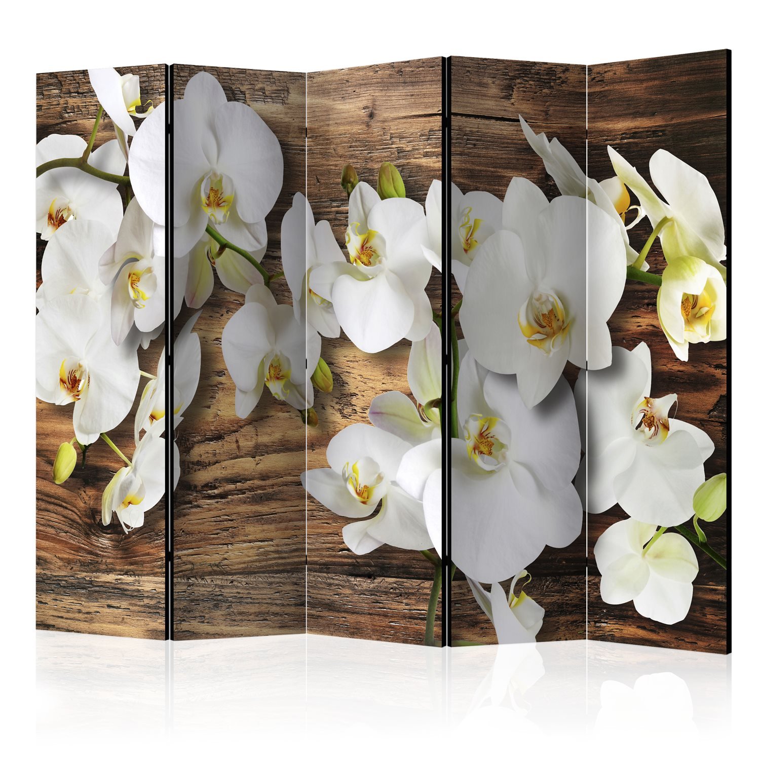 Διαχωριστικό με 5 τμήματα – Forest Orchid II [Room Dividers] 225×172