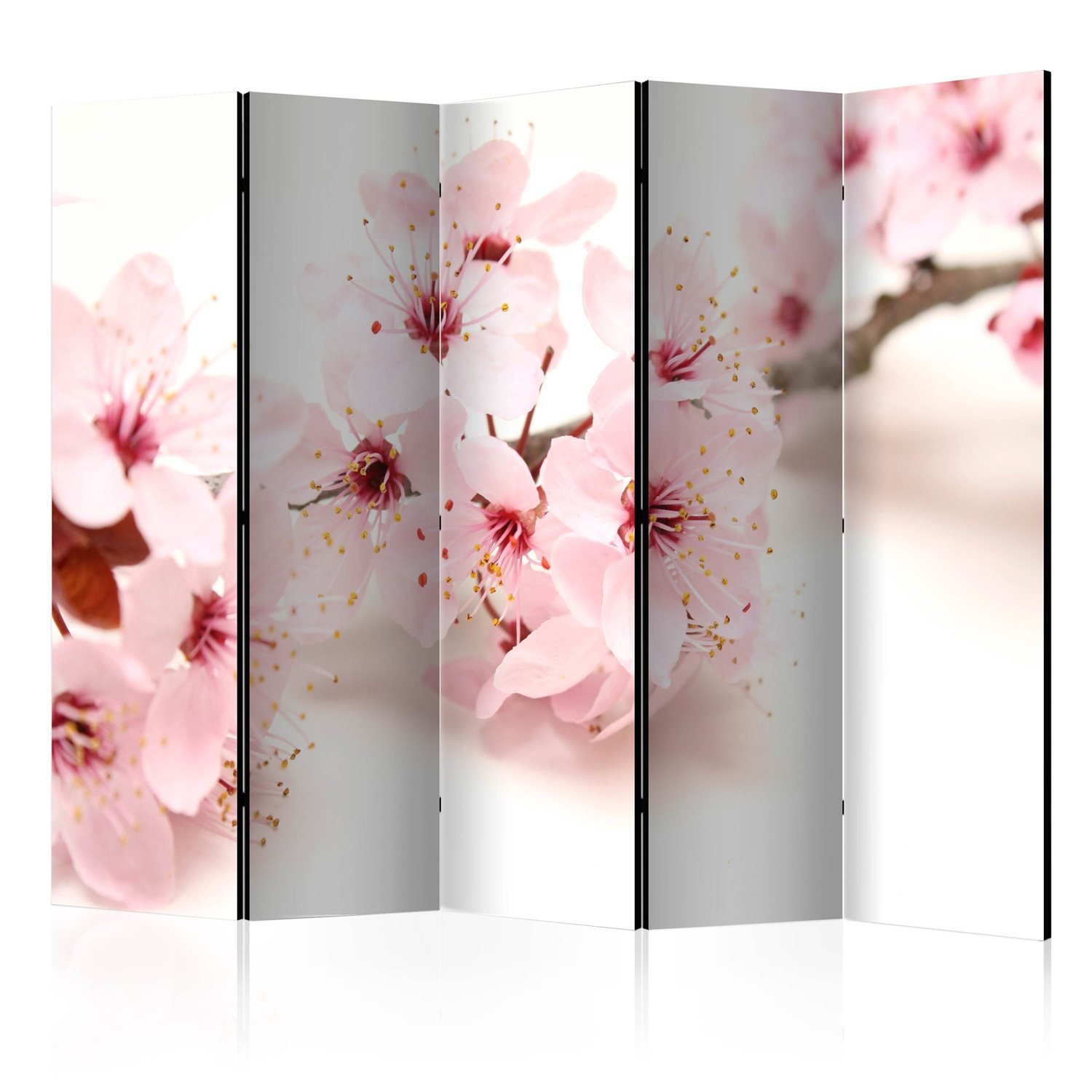 Διαχωριστικό με 5 τμήματα – Cherry Blossom II [Room Dividers] 225×172