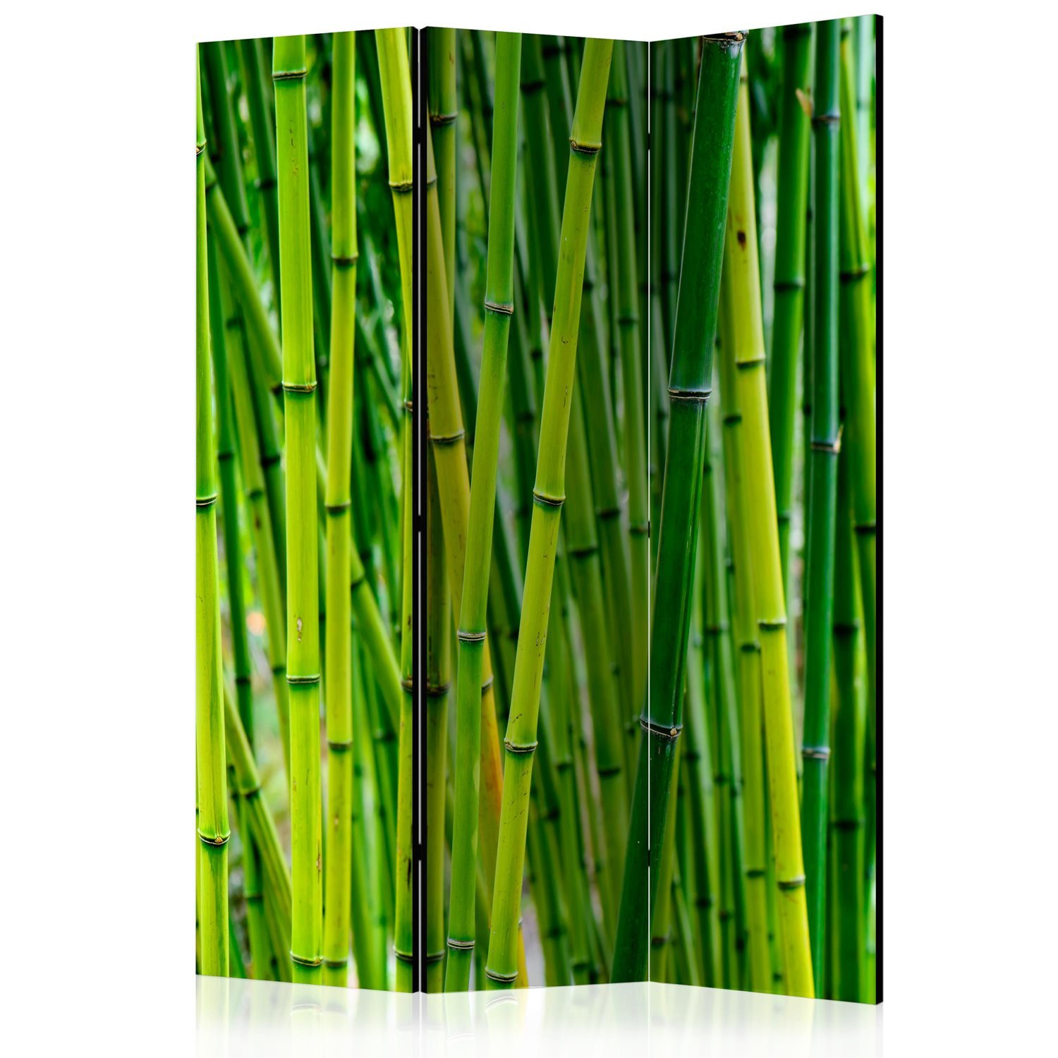Διαχωριστικό με 3 τμήματα – Bamboo Forest [Room Dividers] 135×172