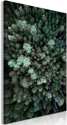 PoliHome Πίνακας - Flying Over Forest (1 Part) Vertical - 40x60