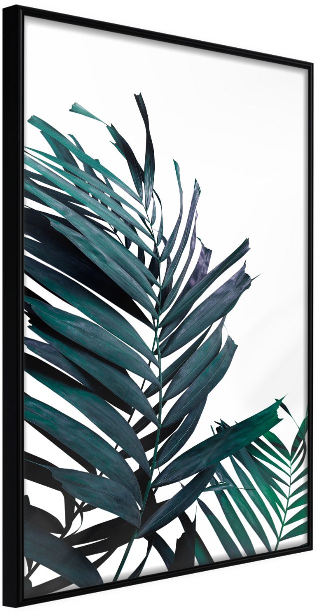 PoliHome Αφίσα - Evergreen Palm Leaves - 20x30 - Μαύρο - Χωρίς πασπαρτού