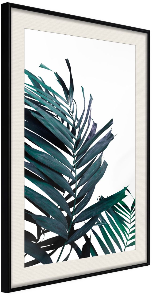 PoliHome Αφίσα - Evergreen Palm Leaves - 40x60 - Μαύρο - Με πασπαρτού
