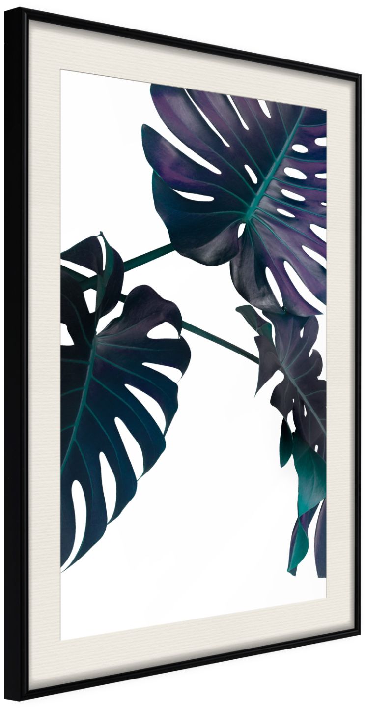 PoliHome Αφίσα - Evergreen Monstera - 30x45 - Μαύρο - Με πασπαρτού
