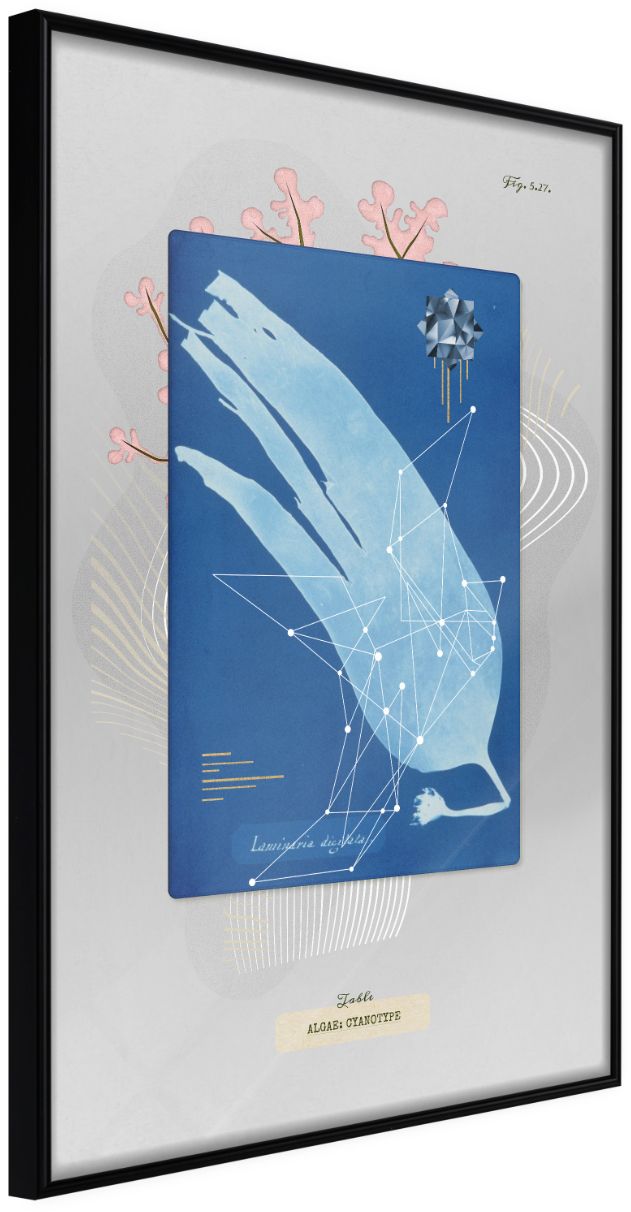 PoliHome Αφίσα - Alga Cyanotype - 30x45 - Μαύρο - Χωρίς πασπαρτού