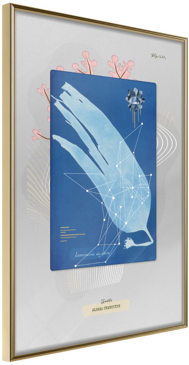 PoliHome Αφίσα - Alga Cyanotype - 20x30 - Χρυσό - Χωρίς πασπαρτού