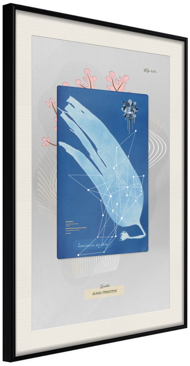 PoliHome Αφίσα - Alga Cyanotype - 40x60 - Μαύρο - Με πασπαρτού
