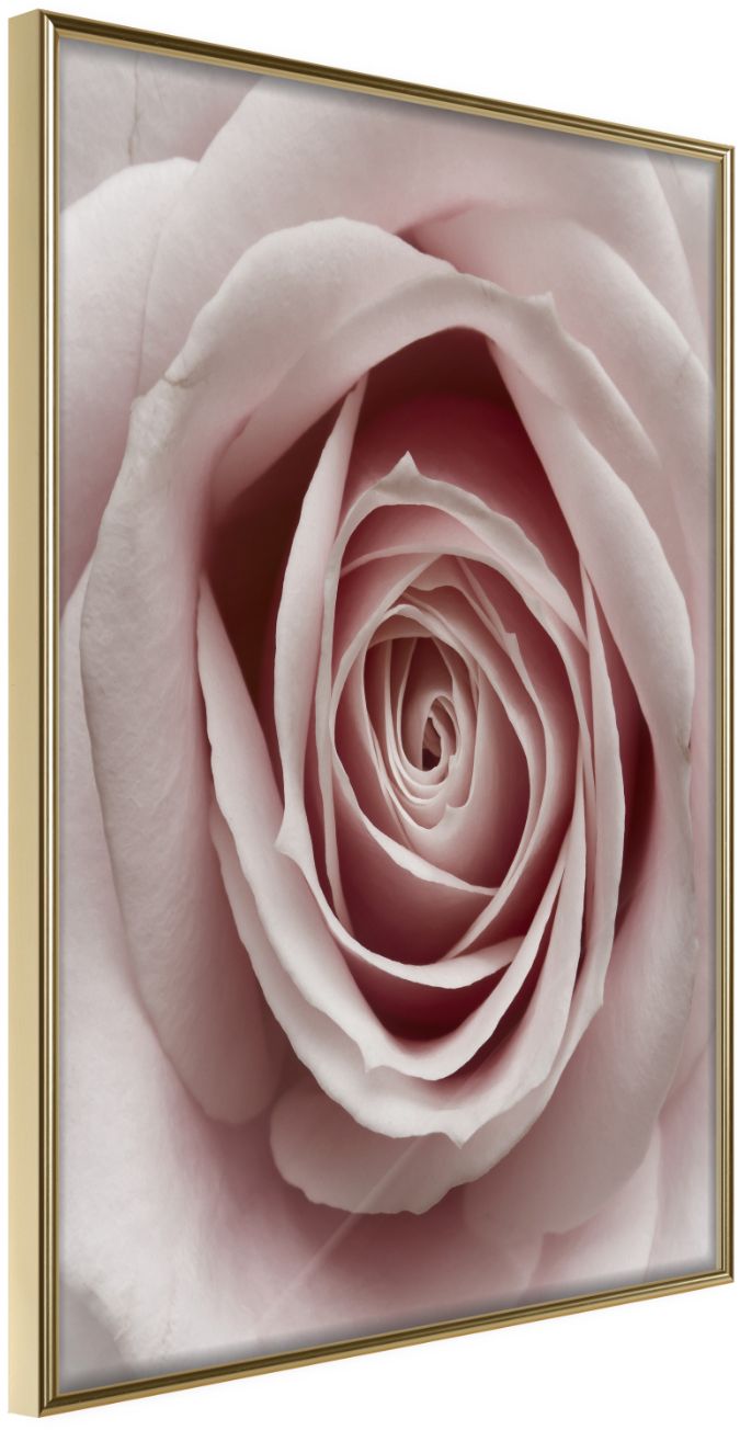 PoliHome Αφίσα - Rosebud - 20x30 - Χρυσό - Χωρίς πασπαρτού