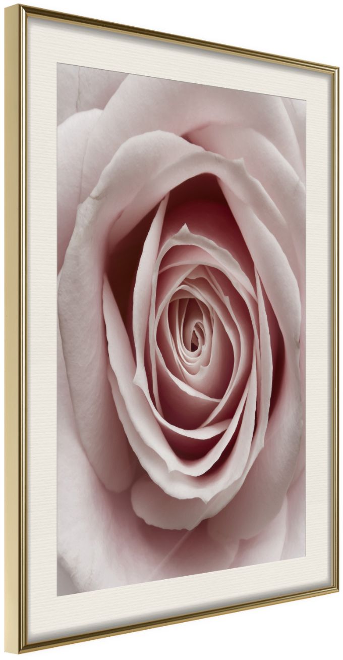 PoliHome Αφίσα - Rosebud - 30x45 - Χρυσό - Με πασπαρτού