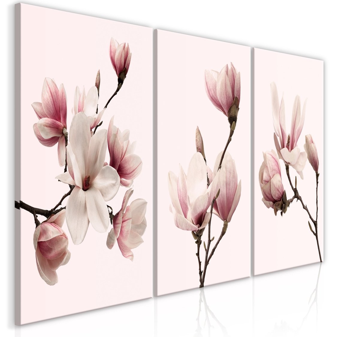 Πίνακας – Spring Magnolias (3 Parts)