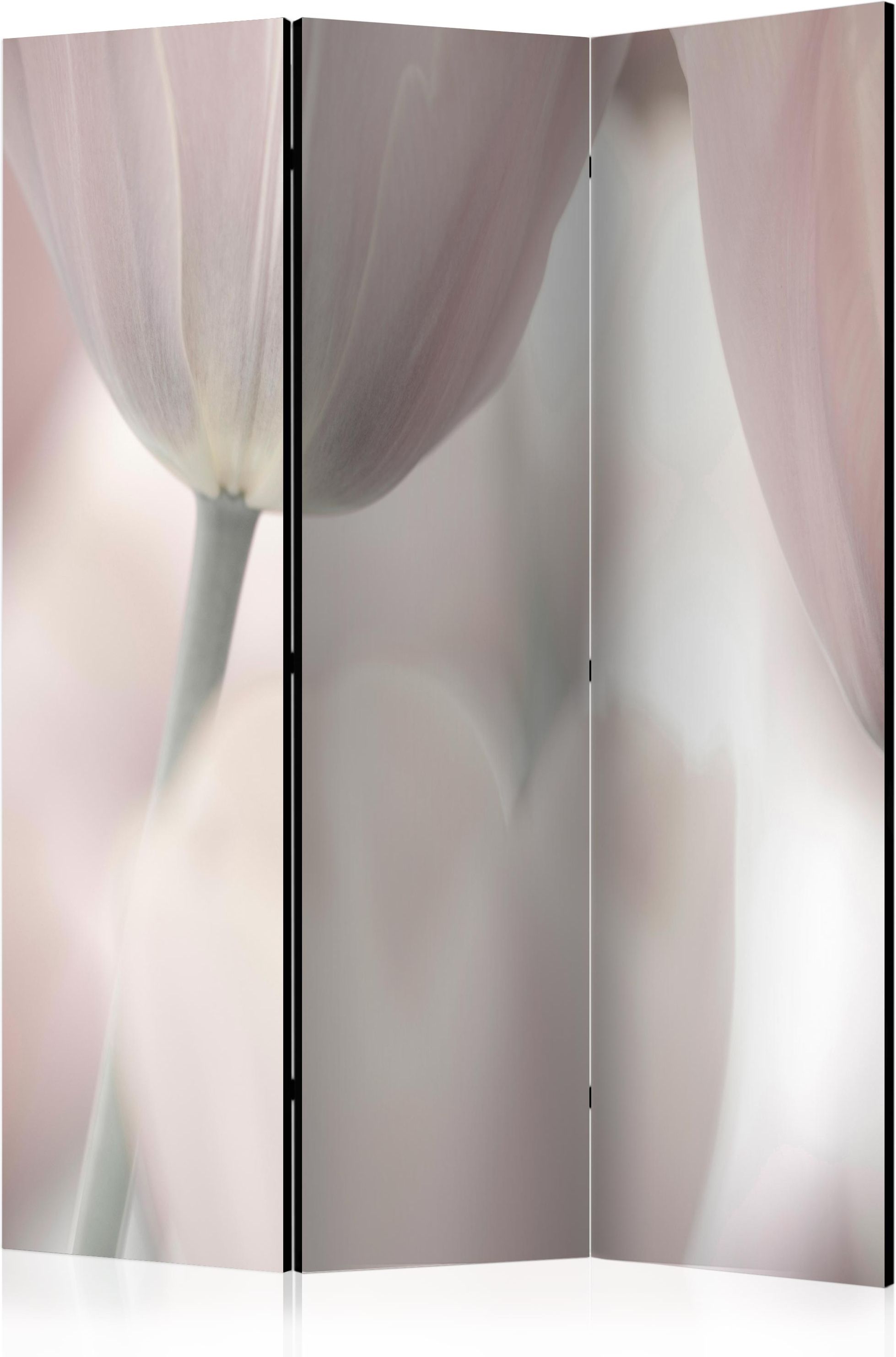 Διαχωριστικό με 3 τμήματα – Tulips fine art – black and white II [Room Dividers]