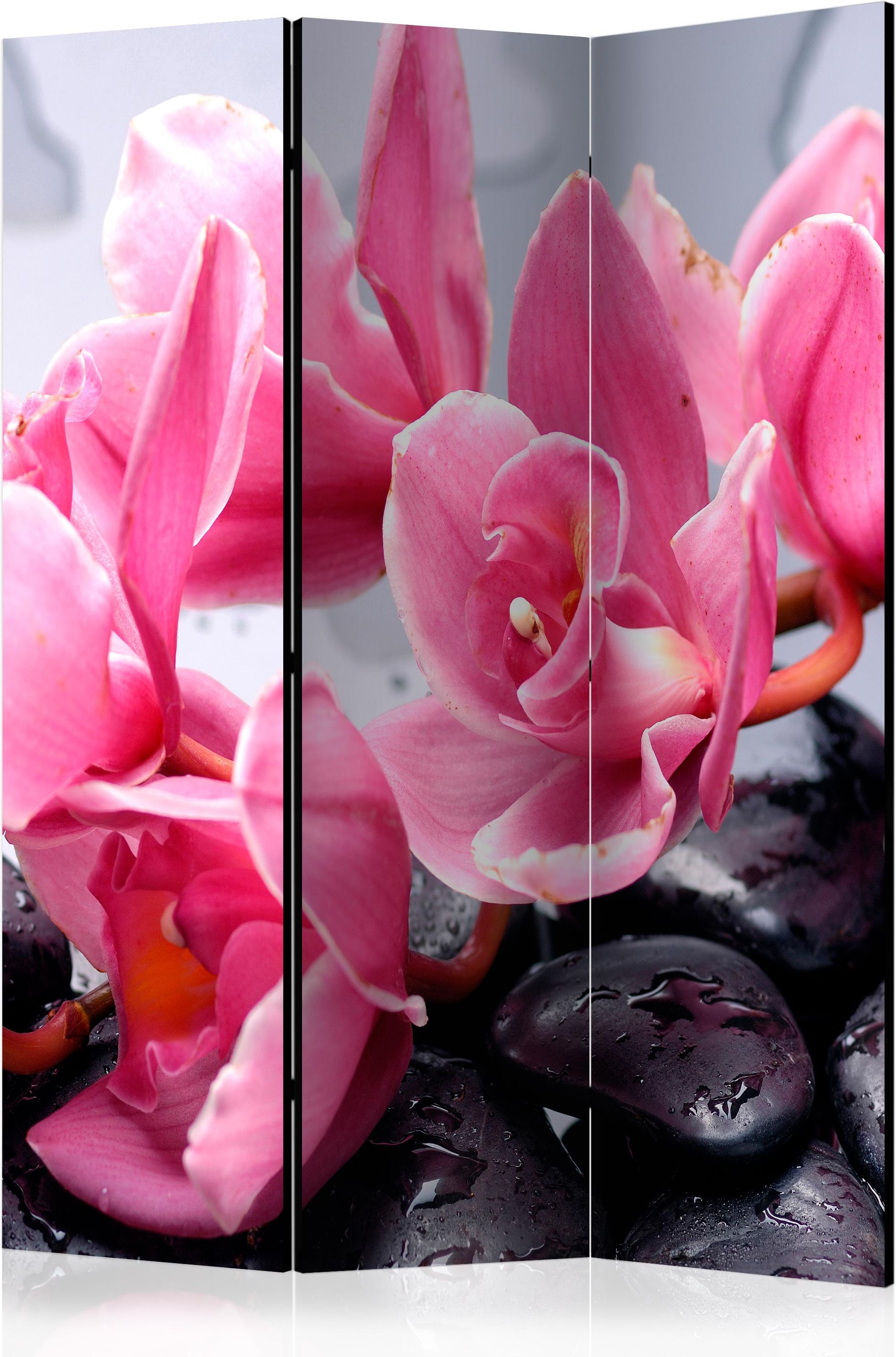 PoliHome Διαχωριστικό με 3 τμήματα - Orchid flowers with zen stones [Room Dividers]