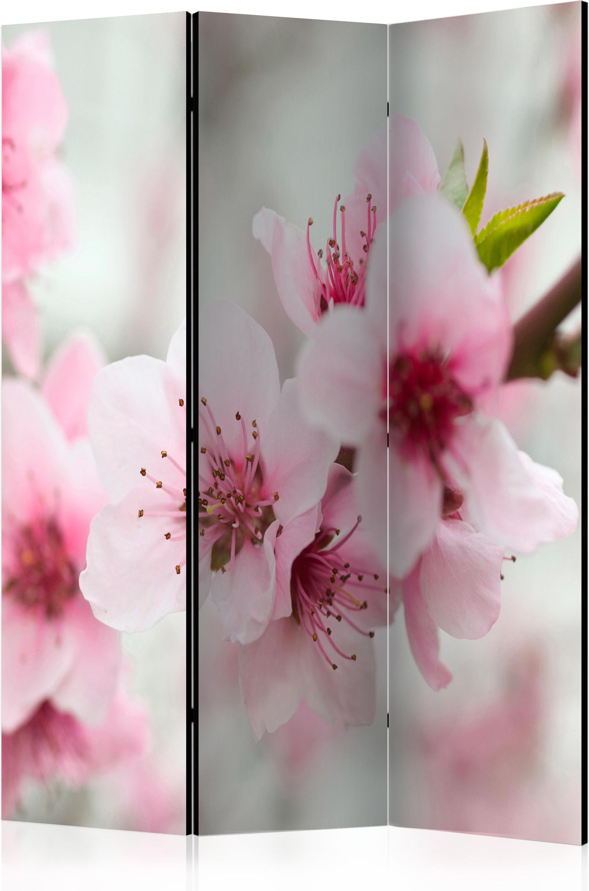 Διαχωριστικό με 3 τμήματα – Spring, blooming tree – pink flowers [Room Dividers]