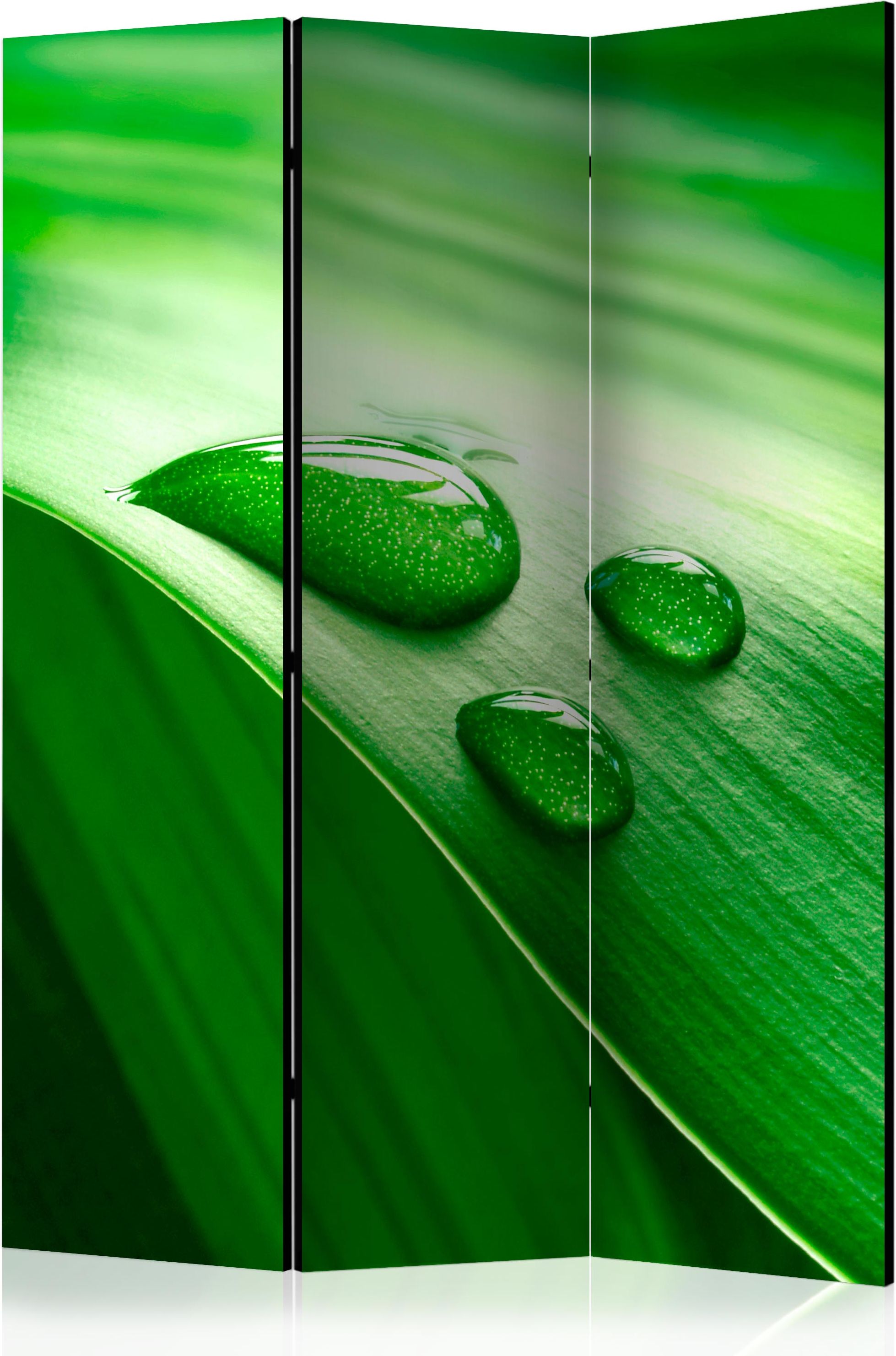 Διαχωριστικό με 3 τμήματα – Leaf and three drops of water [Room Dividers]