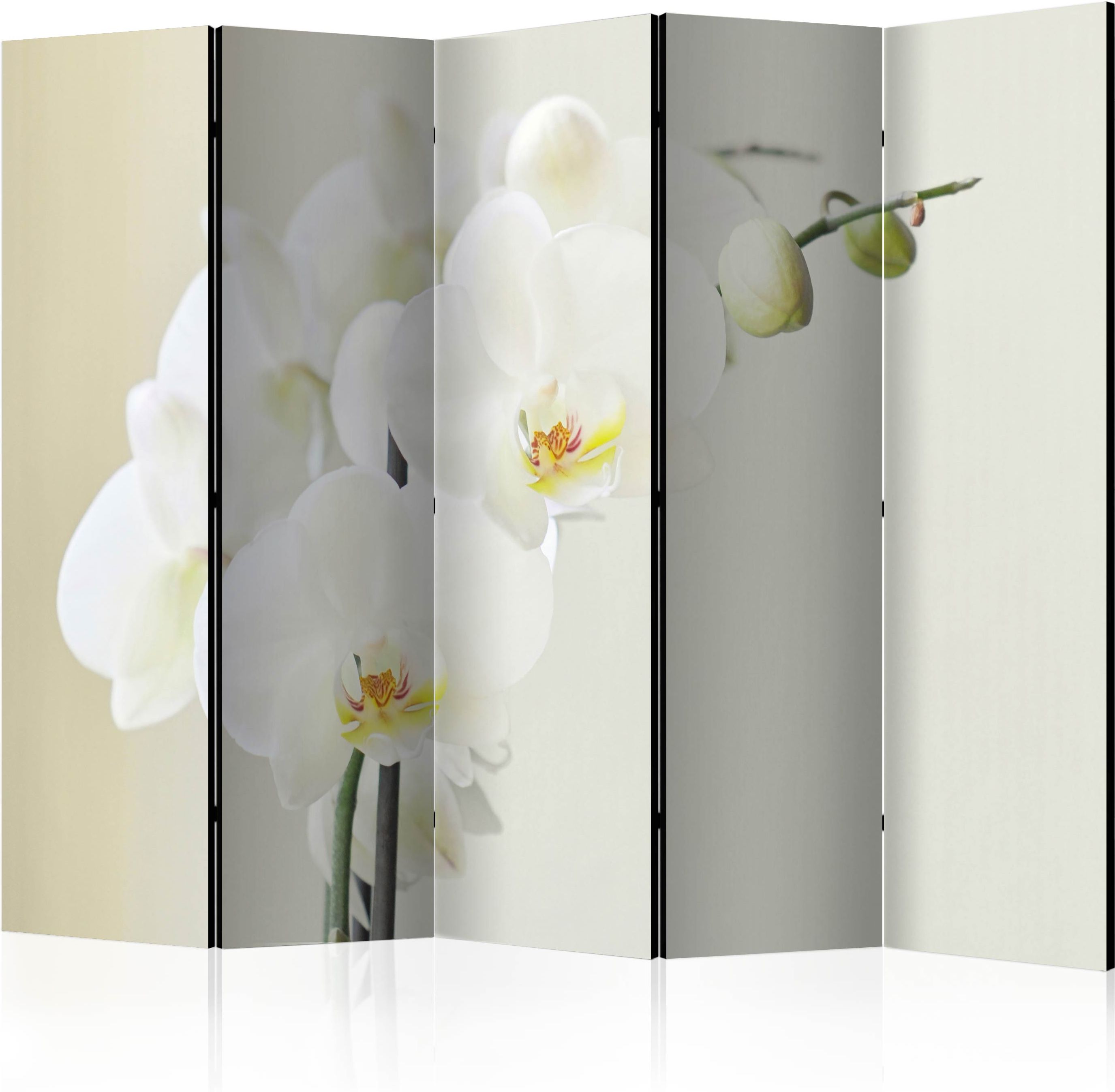 Διαχωριστικό με 5 τμήματα – White orchid II [Room Dividers]