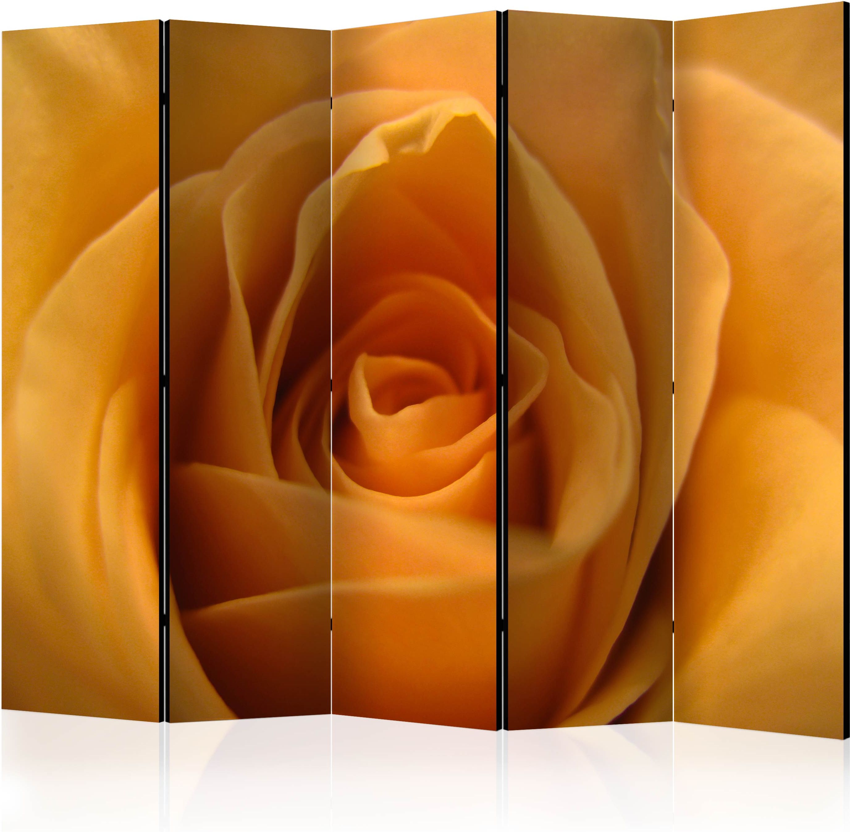 PoliHome Διαχωριστικό με 5 τμήματα - Yellow rose – a symbol of friendship II [Room Dividers]