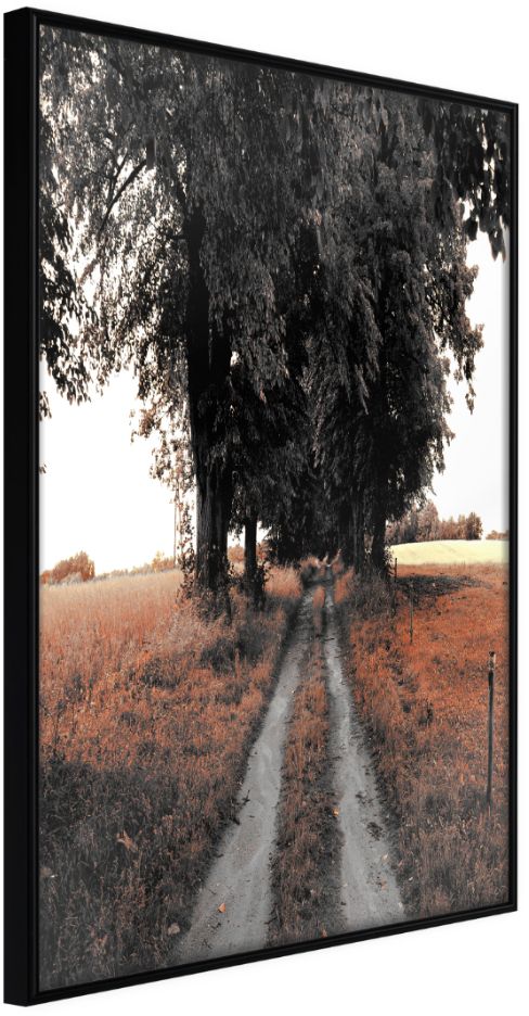 PoliHome Αφίσα - Field Path - 40x60 - Μαύρο - Χωρίς πασπαρτού