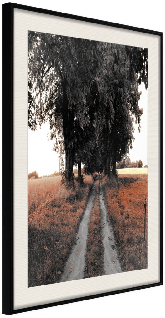PoliHome Αφίσα - Field Path - 40x60 - Μαύρο - Με πασπαρτού