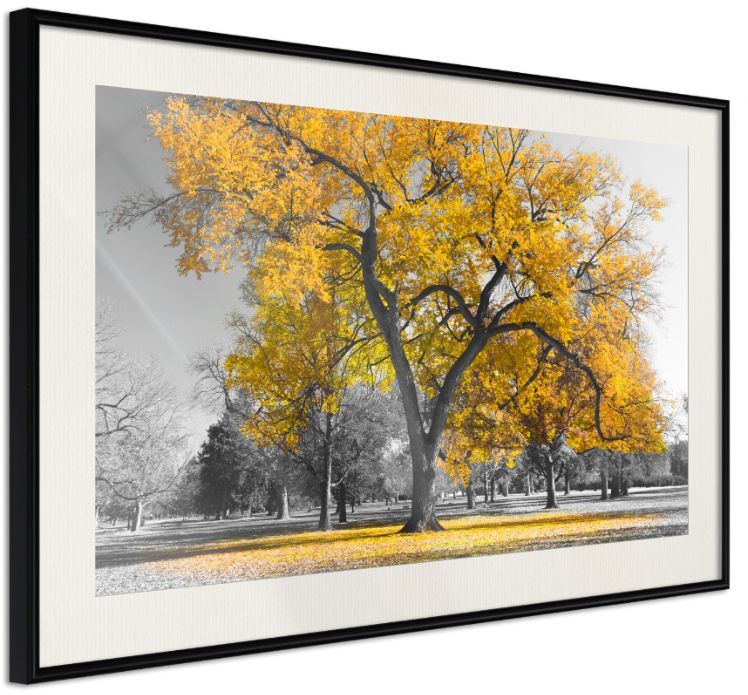 PoliHome Αφίσα - Golden Tree - 45x30 - Μαύρο - Με πασπαρτού