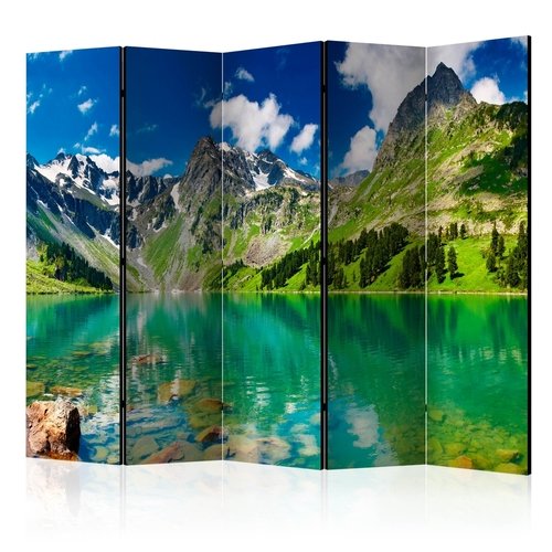 PoliHome Διαχωριστικό με 5 τμήματα - Mountain lake II [Room Dividers]
