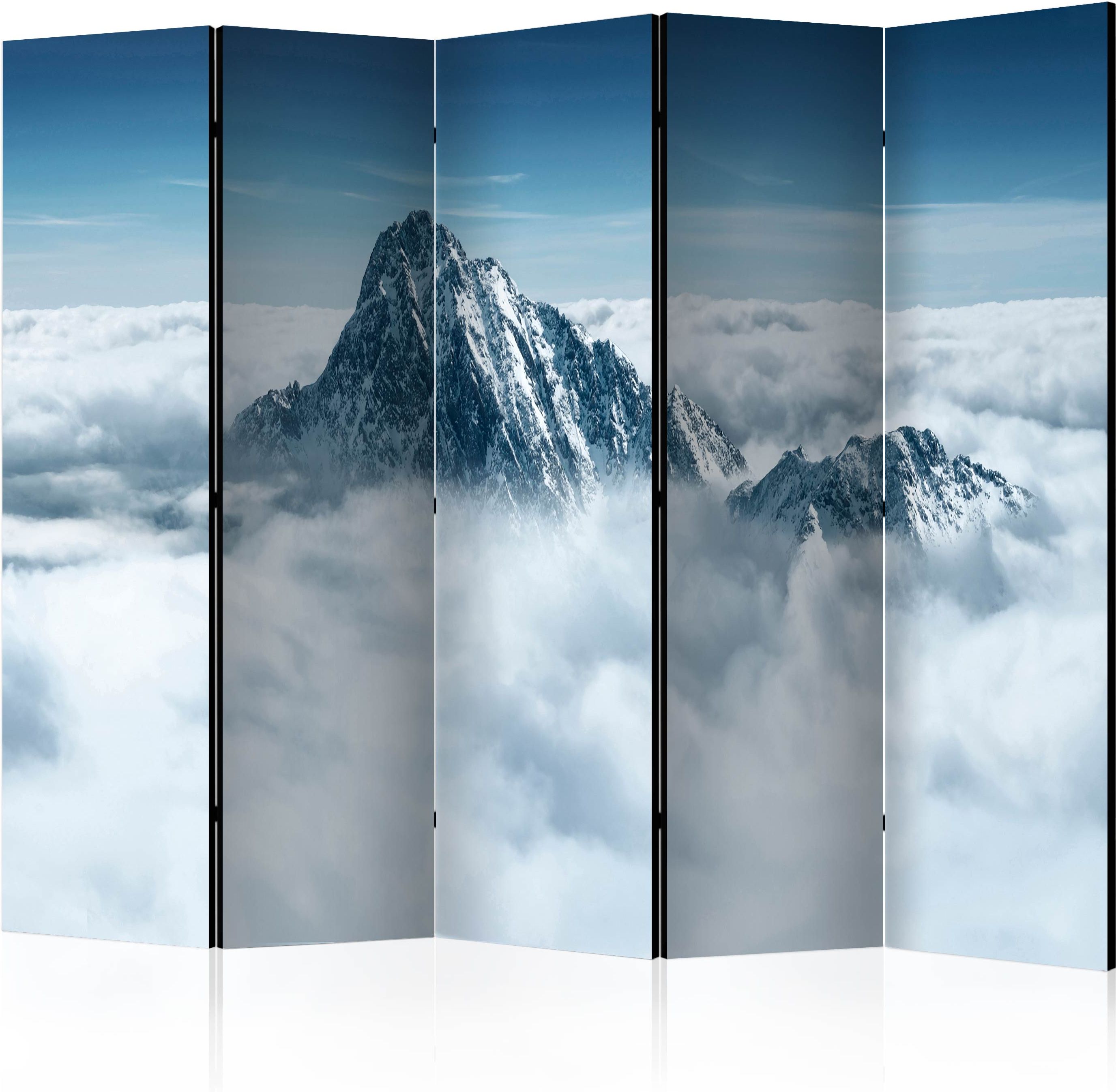Διαχωριστικό με 5 τμήματα – Mountain in the clouds II [Room Dividers]