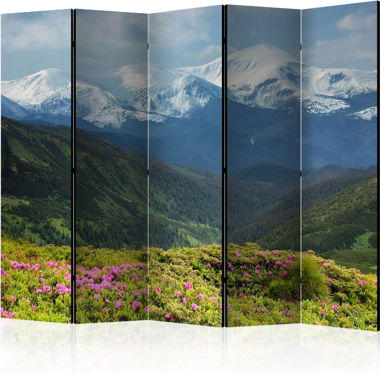 Διαχωριστικό με 5 τμήματα – Spring mountain landscape II [Room Dividers]