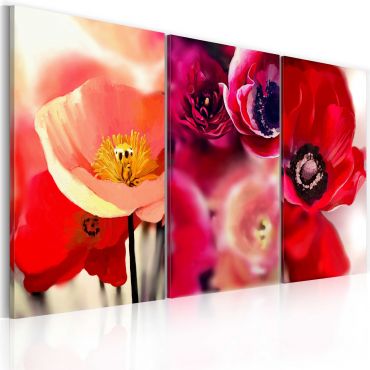 Πίνακας - Poppies - three perspectives