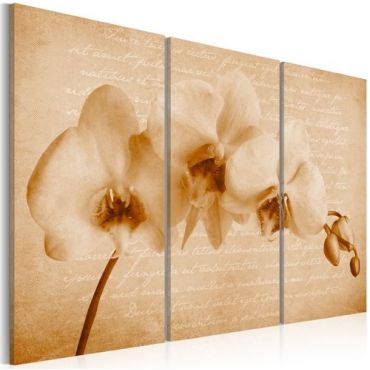 Πίνακας - orchid (vintage)