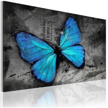 Πίνακας - The study of butterfly