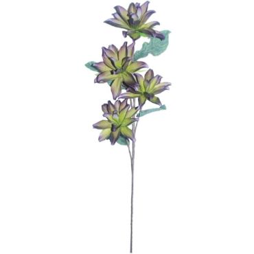 Διακοσμητικό λουλούδι Crocus 89 κίτρινο - μωβ
