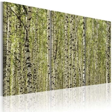 Πίνακας - A forest of birch trees