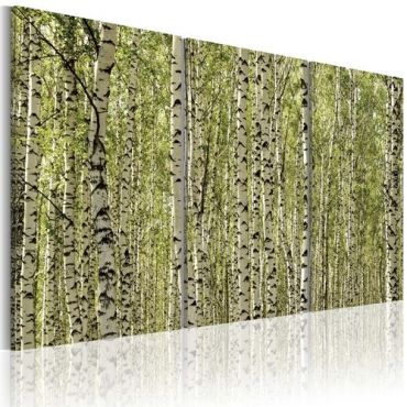 Table - A forest of birch trees