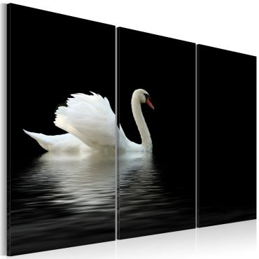 Πίνακας - A lonely white swan