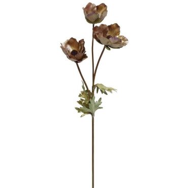 Διακοσμητικά λουλούδια Pulsatilla