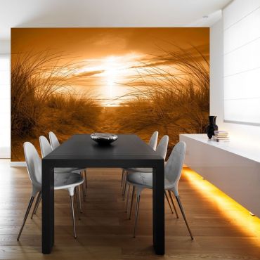 Self-adhesive photo wallpaper - beach (sepia)